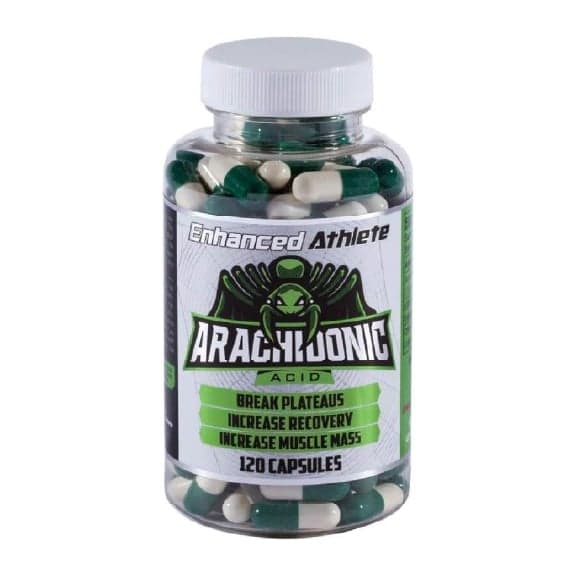 Enhanced Labs Arachidonic Acid